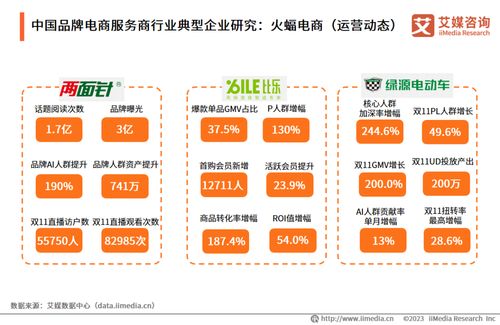 艾媒咨詢2023年中國品牌電商服務(wù)商行業(yè)研究報告解析